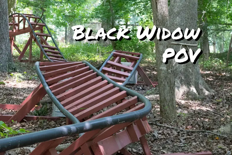 Black Widow POV